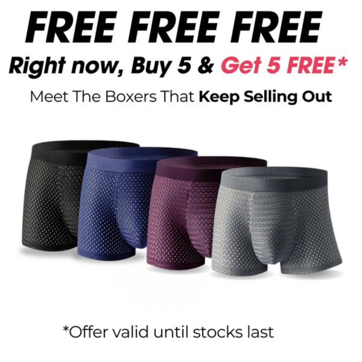 BAMBOO Inner Wear (PACK OF 10 BOXERS)
