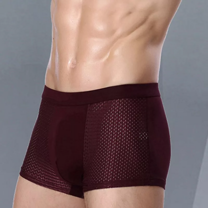 BAMBOO Inner Wear (PACK OF 10 BOXERS)