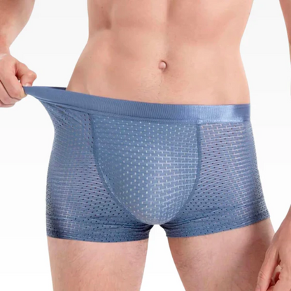 BAMBOO Inner Wear (PACK OF 10 BOXERS)